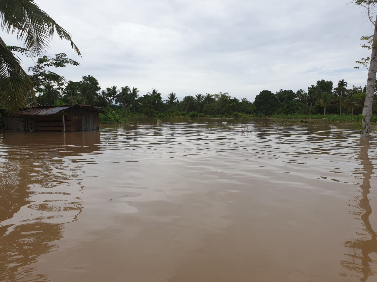 Banjir Melanda Kota Bengkulu Merenggut Korban Jiwa