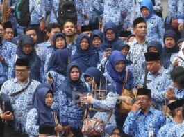 Honorer Tua Bisa Jadi CPNS, Kenapa Demikian?