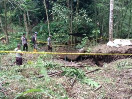 Nambang Emas Sisa Peninggalan Belanda, Warga Bengkulu Tewas Tertimbun Longsor