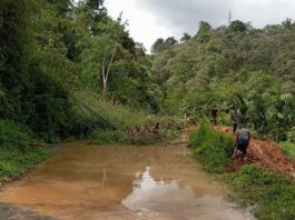 Longsor 4 Titik Lumpuhkan Jalan Provinsi