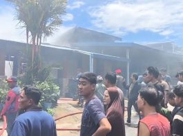 Tengah Hari Bolong