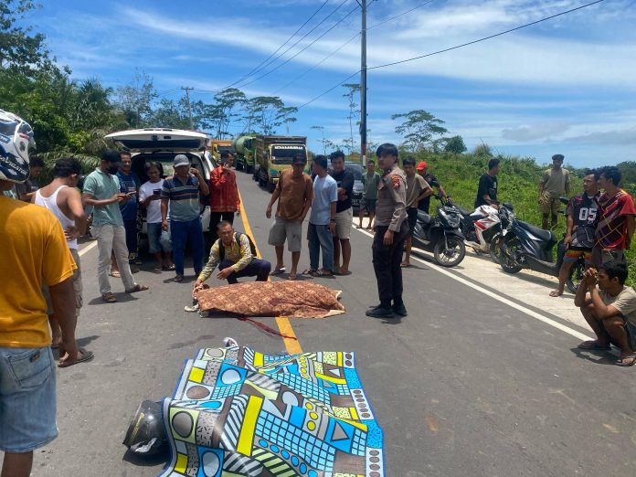 Terlindas Dump Truck