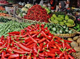 Pemkot Bengkulu Terus