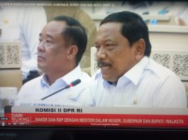 Wagub Bengkulu, Mian