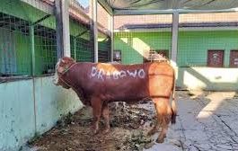 Kabupaten Lebong Dapat