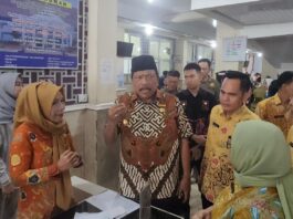 Wagub Bengkulu, Mian