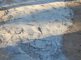 Warga Kembali Keluhkan