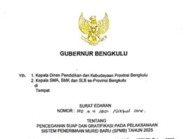 Gubernur Bengkulu, Helmi Hasan