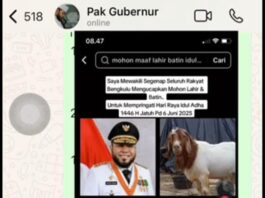 Warga Mau Laporkan Netizen yang Menghujat, Begini Respon Gubernur Helmi Hasan