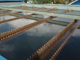 Pasca Perbaikan, Perumda