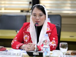 Senator Destita Sesalkan