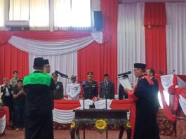 Teuku Zulkarnain Resmi
