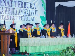 Universitas Pat Petulai
