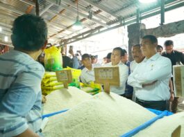 Mentan Pastikan Stok Beras