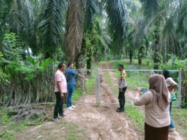 Polsek Pondok Kelapa