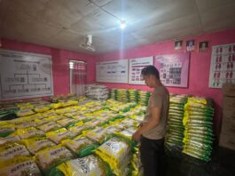 Periode Oktober 2025