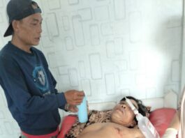 Sedang Panen Padi