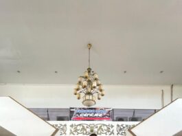 Althario Swimming Class Bengkulu