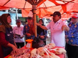 Cek Harga Bahan Pokok