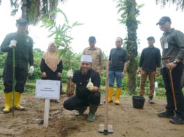 Pemprov Bengkulu Tanam Pohon