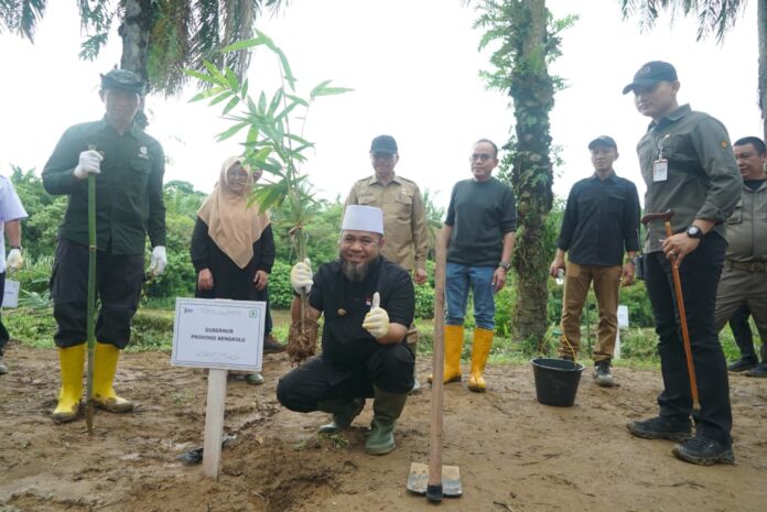 Pemprov Bengkulu Tanam Pohon