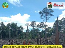 Operasi Bentang Seblat