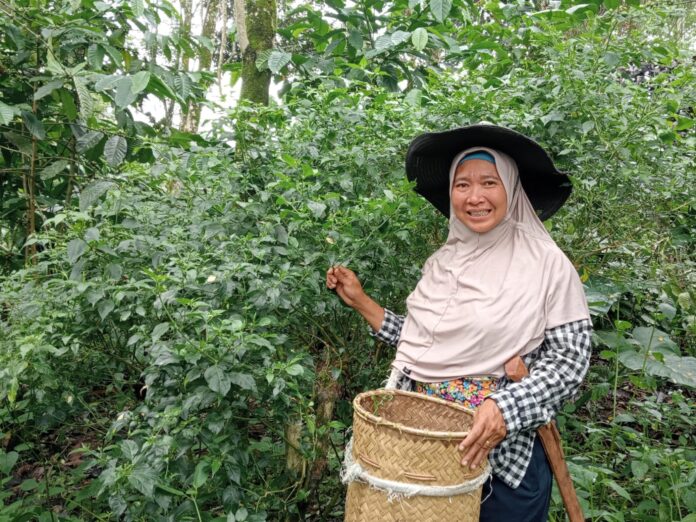Merawat Kembali Satu Persatu
