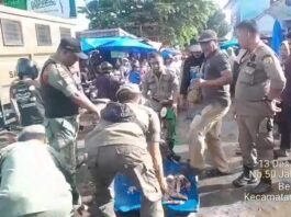 Satpol PP Kota