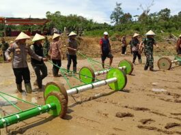 Dukung Swasembada Pangan