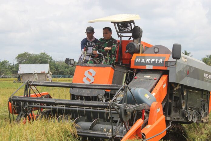 Hasil Meningkat, Harga Gabah