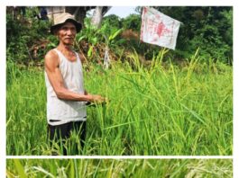 Memanggil Kembali Roh Menanam