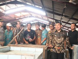 Walikota Bengkulu Bakal Bereskan