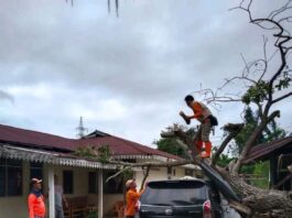 Cuaca Ekstrem Melanda Kota