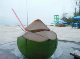HET Kelapa Muda