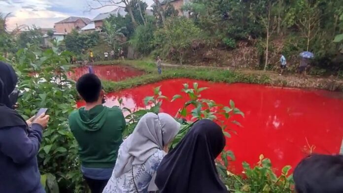 Air Kolam Ikan Berubah