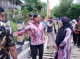 Wagub Mian Tinjau Jembatan