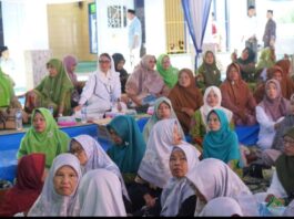 Senator Destita Hadiri