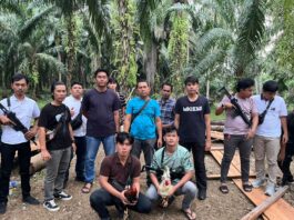 Sabung Ayam di Kebun