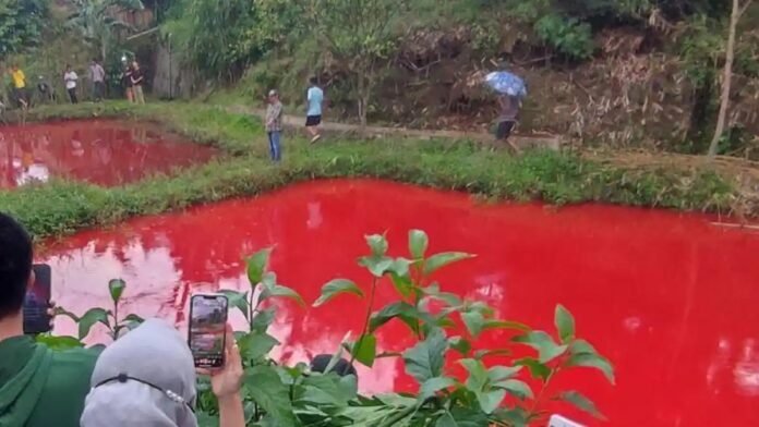 Terungkap Penyebab Air Kolam
