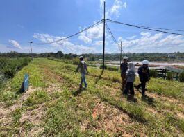 Uji Sterilisasi Limbah