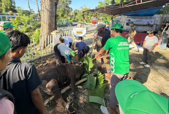 DPD RI Bengkulu Potong