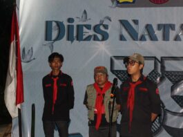 Kematian Dua Gajah