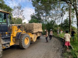 Trailer Terperosok di Taba Padang Ganggu Lalulintas Curup–Lubuk Linggau Trailer Terperosok di Taba
