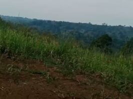 Belum Berfungsi, Lahan