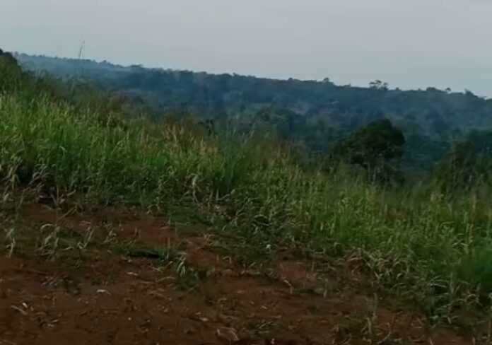 Belum Berfungsi, Lahan