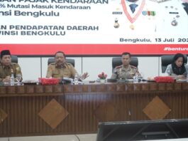 Realisasi Program Pemutihan Pajak