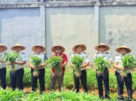 Gandeng AMJ Bengkulu