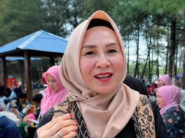 Kadis Kominfo Nurlia