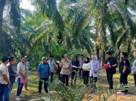 Sidang Lapangan Sengketa