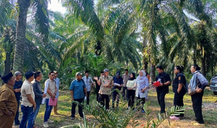 Sidang Lapangan Sengketa